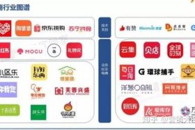 传统电商平台有哪些，传统电商平台有哪些？