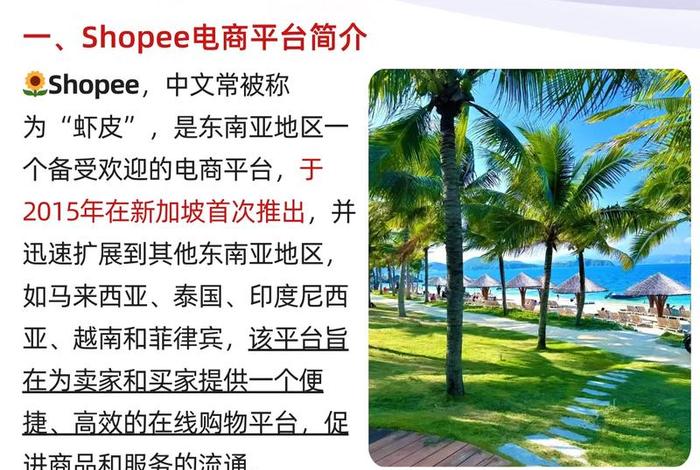 东南亚市场的跨境电商平台（东南亚市场的跨境电商平台是什么）