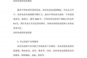 电商发展规划怎么写；电商发展规划怎么写简短