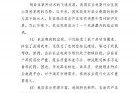 电商创业项目、电商创业项目描述怎么写