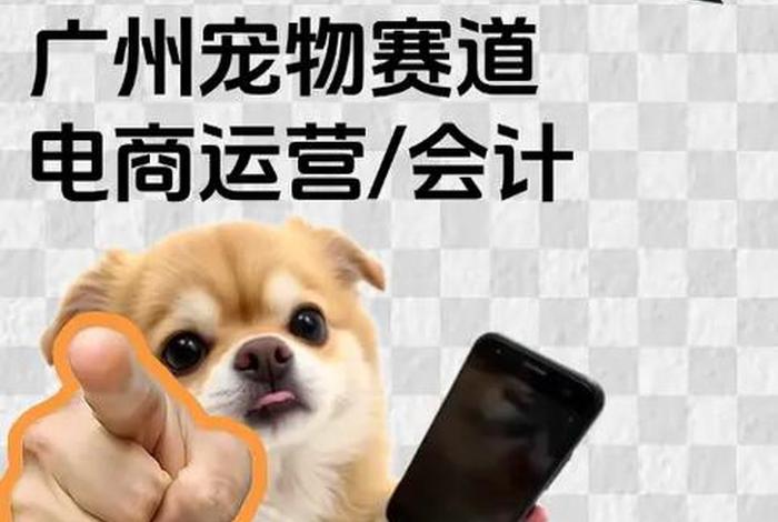 宠物电商运营训练营;宠物电商运营训练营招聘 宠物电商运营训练营;宠物电商运营训练营招聘