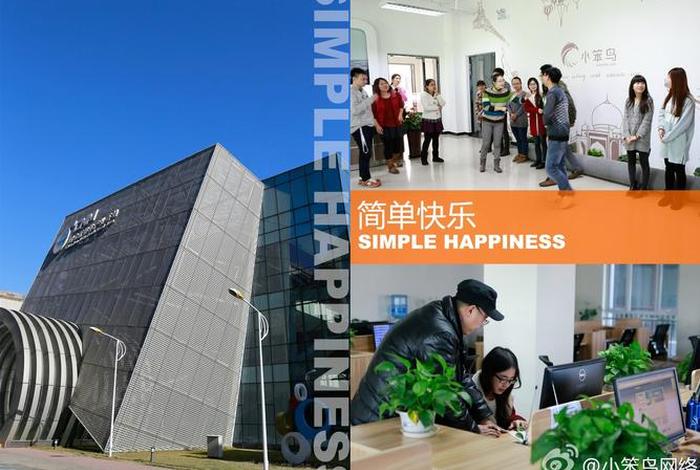 小笨鸟信息技术有限公司 - 小笨鸟信息技术有限公司招聘