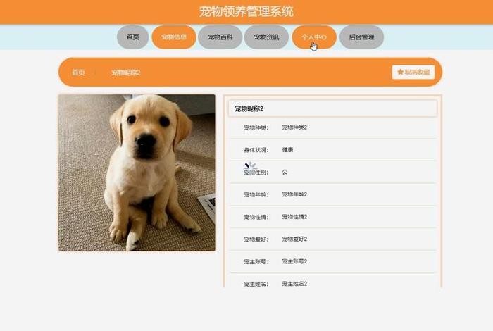 宠物电商erp系统，宠物电商app