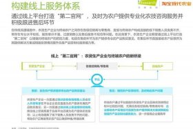 三大电商入局农资；农村电商三大巨头