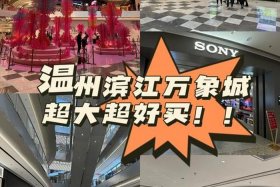 温州电商园区免费入驻（温州电商园区免费入驻公司）