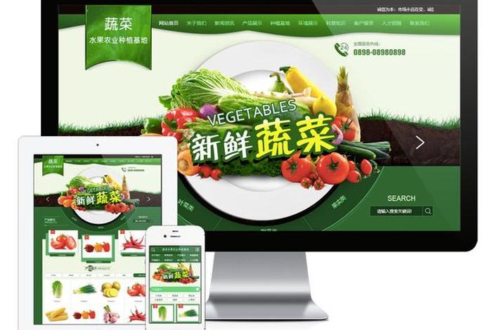 蔬菜电商平台营销模式 - 蔬菜电商平台营销模式是什么