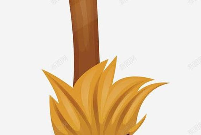 电商拍摄素材 - 电商拍摄素材图片