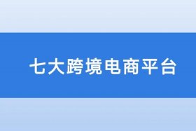 跨境电商公共服务平台有哪些 - 跨境电商公共服务平台有哪些平台