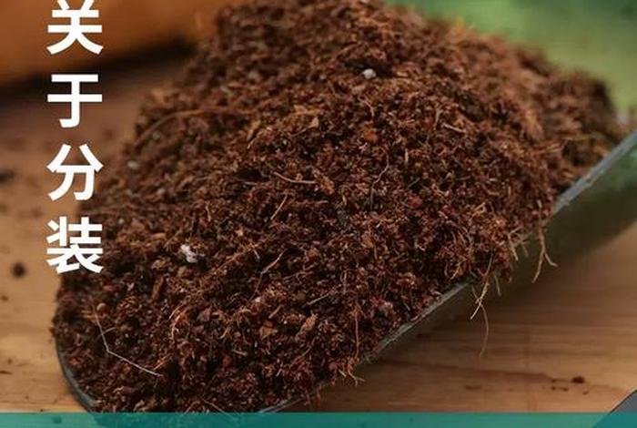 网购苗木 - 网购苗木根部泥团处理