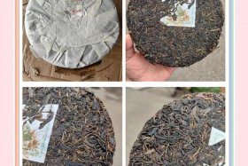 99元卖茶叶的爷孙是真的吗（99元卖茶叶的爷孙是真的吗吗）