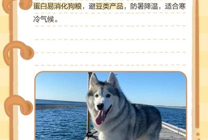 哈士奇电商app下载(哈士奇电商app下载官网) 哈士奇电商app下载(哈士奇电商app下载官网)