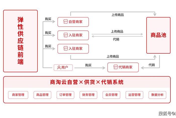 社淘电商全域运营策略解析（社淘电商是什么模式）