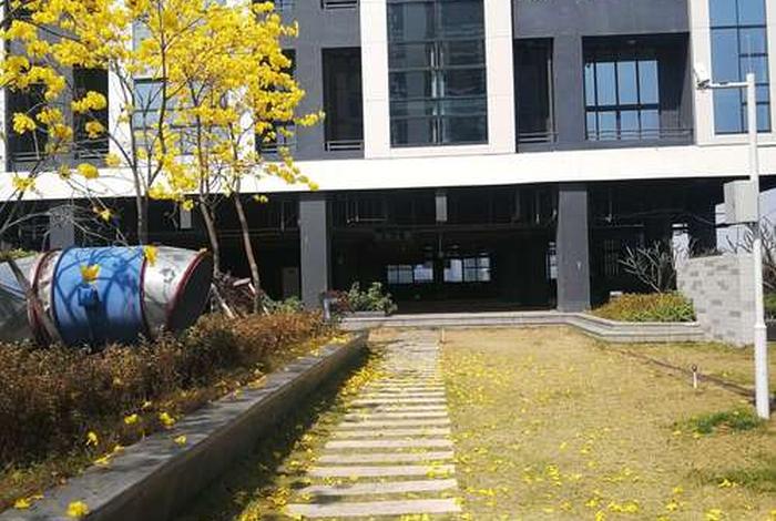 港电商贸深圳有限公司招聘;港电商贸深圳有限公司怎么样 港电商贸深圳有限公司招聘;港电商贸深圳有限公司怎么样