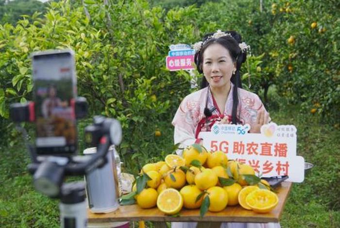 广西跨境电商直播带货平台 - 广西直播带货网红