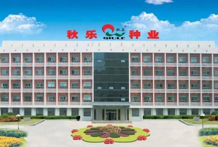 河南跨境电商龙头 河南跨境电商龙头企业 河南跨境电商龙头 河南跨境电商龙头企业