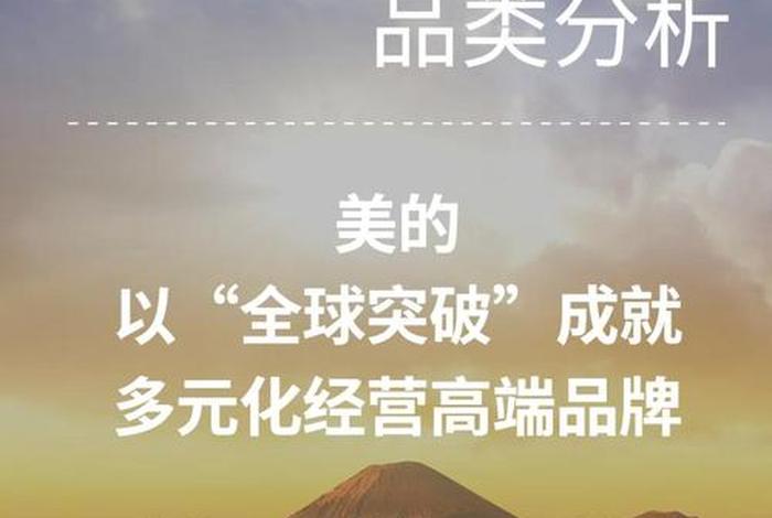 发展跨境电商,推动跨境电商服务交易的多元化 - 发展跨境电商,推动跨境电商服务交易的多元化战略 发展跨境电商,推动跨境电商服务交易的多元化 - 发展跨境电商,推动跨境电商服务交易的多元化战略