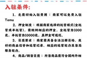 跨境电商平台入驻条件要求 - 跨境电商平台入驻条件要求标准