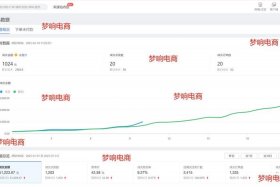 梦响电商成立于哪一年（杭州梦响电商）