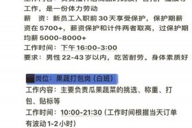 拣货员电商、电商拣货员职位描述