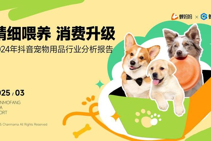 宠物电商公司的企业文化和价值观 - 宠物电商公司的企业文化和价值观有哪些 宠物电商公司的企业文化和价值观 - 宠物电商公司的企业文化和价值观有哪些