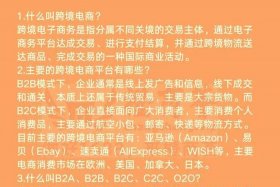电商主体是什么意思，电子商务主体是什么意思
