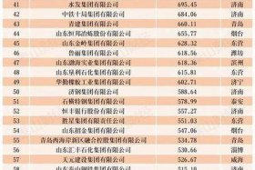 山东电商运营公司排名（山东电商运营公司排名前十）