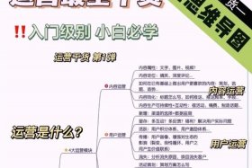 京东电商运营自学全套教程（京东电商运营自学全套教程视频）