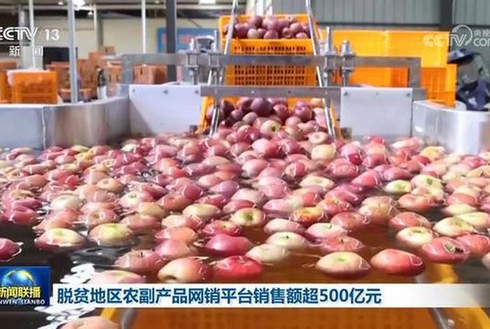 A电商 - A电商扶贫公司对某扶贫地区以特色农产品进行网上销售 A电商 - A电商扶贫公司对某扶贫地区以特色农产品进行网上销售