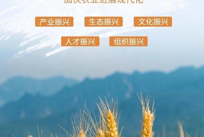 发展农村电商助力乡村振兴宣传片(发展农村电商促进乡村振兴) 发展农村电商助力乡村振兴宣传片(发展农村电商促进乡村振兴)