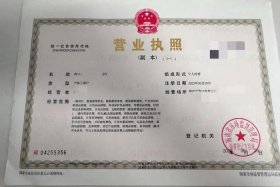 电商执照和个体户执照有什么区别、电商执照和个体户执照有什么区别呢