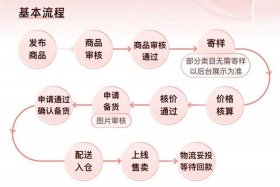 temu跨境电商平台运营规则，跨境电商平台运营规则是什么？