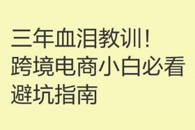 做跨境电商的血泪教训 做跨境电商的血泪教训流量