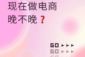 什么电商不电商 - 什么电商不电商赚钱