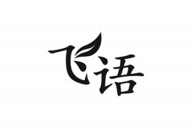 飞语电商 飞语网络电话