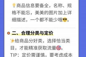 传统电商怎么做 传统电商怎么做起来