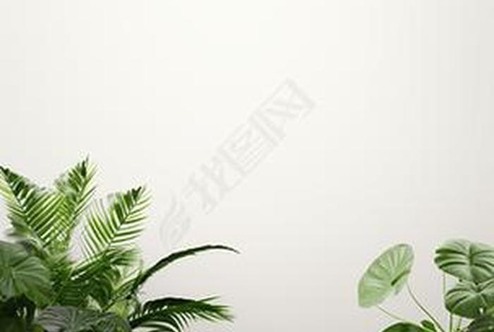 电商主图模板背景图 电商主图模板背景图高清