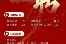 赣州纵横电商 - 赣州纵横电商招聘