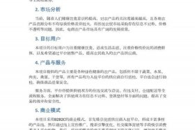 电商平台项目计划书怎么写；电商平台项目计划书怎么写的