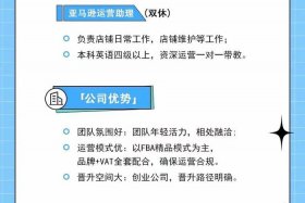 跨境电商运营招聘视频 跨境电商运营招聘视频教程