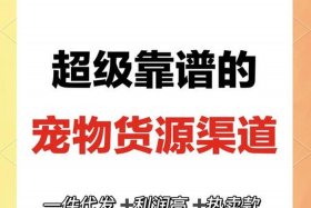 宠物用品电商渠道 - 宠物用品电商渠道有哪些