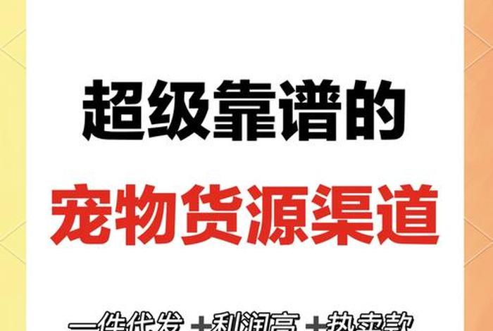 宠物用品电商渠道 - 宠物用品电商渠道有哪些 宠物用品电商渠道 - 宠物用品电商渠道有哪些