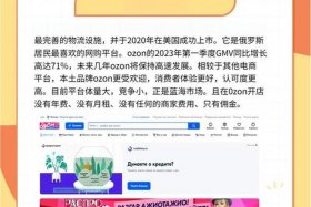 俄罗斯电商市场平台 - 俄罗斯电商市场平台有哪些