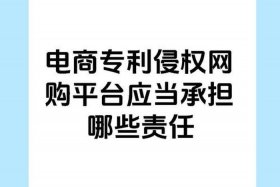 电商侵权咨询、电商侵权损害应承担的责任