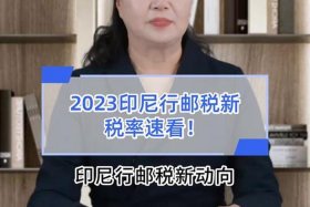 印尼电商平台征税政策 - 印尼电商平台征税政策是什么