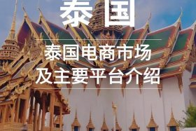 泰国电商平台偏好；泰国主要电商平台