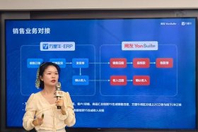 电商saas软件 电商saas软件开发公司