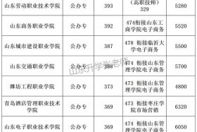 山商电商什么时候开的专业（山东省电商专业专科学校排名）