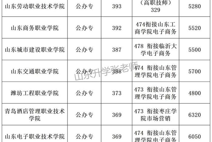 山商电商什么时候开的专业（山东省电商专业专科学校排名）