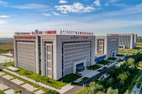 大唐电商平台客服，大唐电子商务平台客服