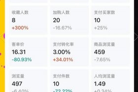 无货电商怎么做一件代发 - 无货电商怎么做一件代发赚钱